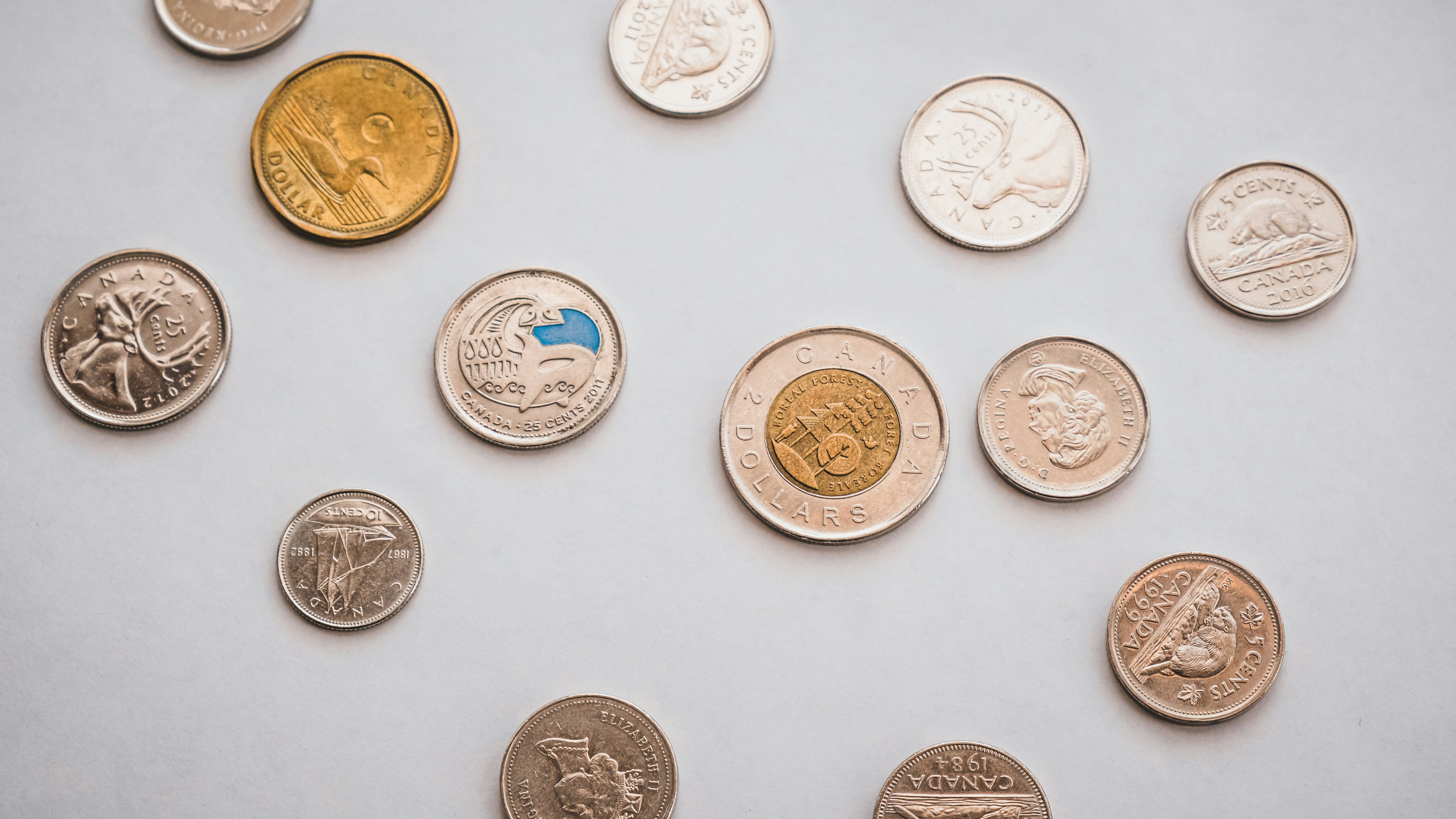 Build a React Currency Converter with FxFeed API